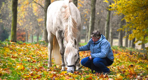 marie-charlotte legrand burnout bailleul sophrologue